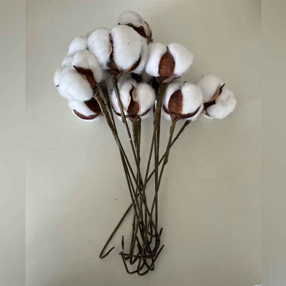 11 Piece Cotton Stem Home Decor 10.5 inches